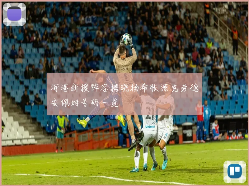 海港新援阵容揭晓杨希张源克劳德安佩姆号码一览