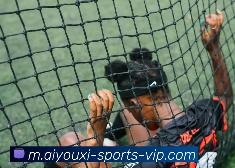 多媒体互动体验